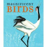 Magnificent Birds