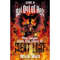 Like a Bat Out of Hell