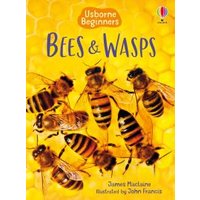 Bees and Wasps