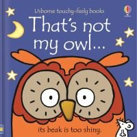 That's Not My Owl ...