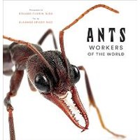 Ants