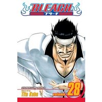 Bleach. Vol. 28