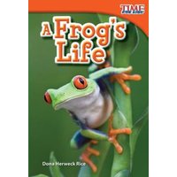 A Frog's Life