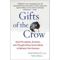 Gifts of the Crow
