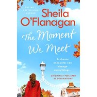 The Moment We Meet