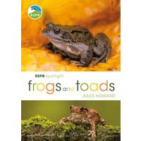Frogs and Toads