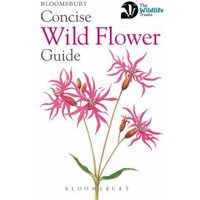 Concise Wild Flower Guide