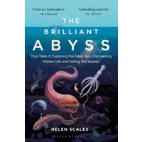 The Brilliant Abyss