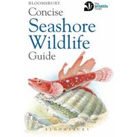 Concise Seashore Wildlife Guide
