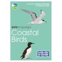 Coastal Birds