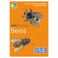 Bees