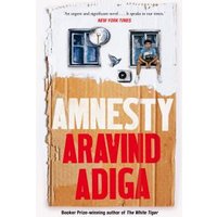 Amnesty