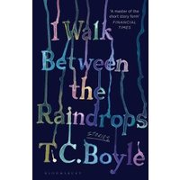 I Walk Between the Raindrops