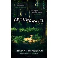 Groundwater