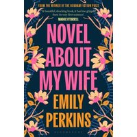 Novel About My Wife