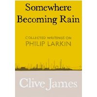 Somewhere Becoming Rain