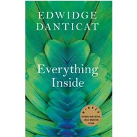 Everything Inside