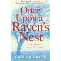Once Upon a Raven's Nest