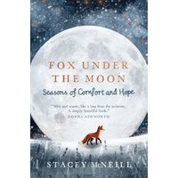 Fox Under the Moon