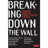 Breaking Down the Wall