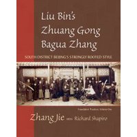 Liu Bin's Zhuong Gong Bagua Zhang