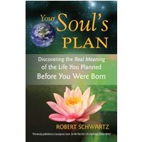 Your Soul's Plan