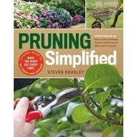 Pruning Simplified