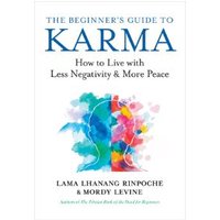 The Beginner's Guide to Karma
