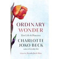 Ordinary Wonder