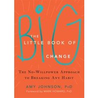 The Little Book of Big Change