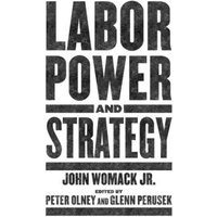 Labor Power and Strategy
