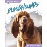Bloodhounds. Paperback
