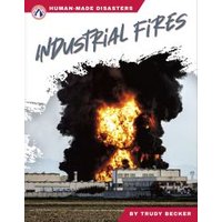 Industrial Fires. Paperback