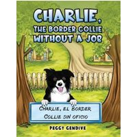 Charlie, the Border Collie Without a Job