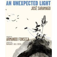 An Unexpected Light