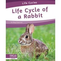 Life Cycle of a Rabbit