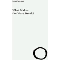 What Makes the Wave Break?