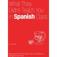 What They Didn't Teach You in Spanish Class