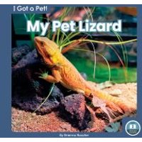 My Pet Lizard