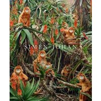Simen Johan