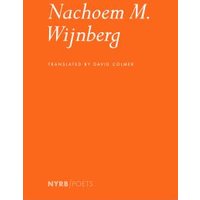 Nachoem M. Wijnberg