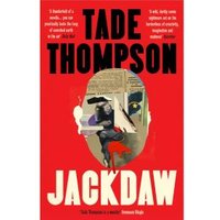 Jackdaw