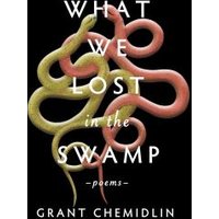 What We Lost in the Swamp