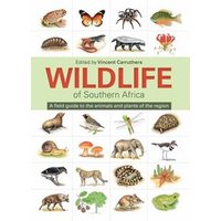 The Wildlife of Southern Africa