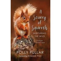 A Scurry of Squirrels