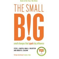 The Small BIG