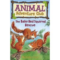 The Baby Red Squirrel Rescue