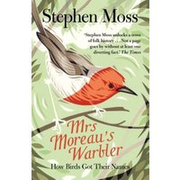 Mrs Moreau's Warbler