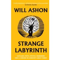 Strange Labyrinth