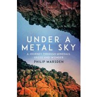 Under a Metal Sky
